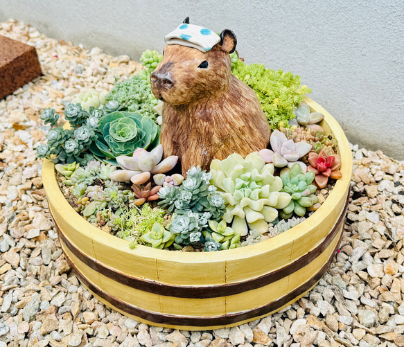 温泉カピバラin風呂桶 植木鉢 多肉植物用〉陶芸 陶器 一輪挿し・花瓶