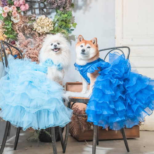 受注制作品】うちのこスノードームデジタルアート｜夏の海カフェ ※修正