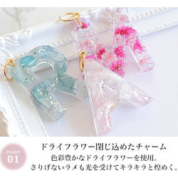 イニシャル+リボンチャーム アルファベット キーホルダー ハーバリウム バッグチャーム プレゼント strap-018 5枚目の画像