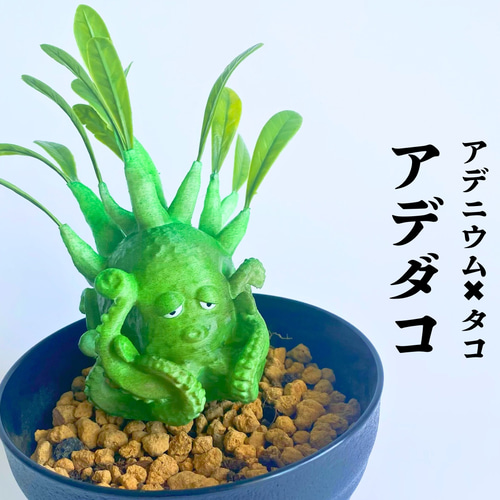 売切御免】アデニウムのタコ⁈ 『アデダコ』3塊根植物 フィギュア