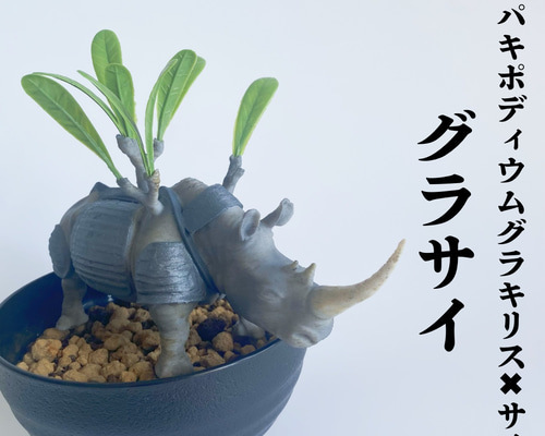 98283917cbdb1dd266696e8ac2c0b6