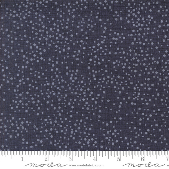 USAコットン Superbloomスーパーブルーム　 幅約55cm×45cmカット modaモダ SB30 2枚目の画像