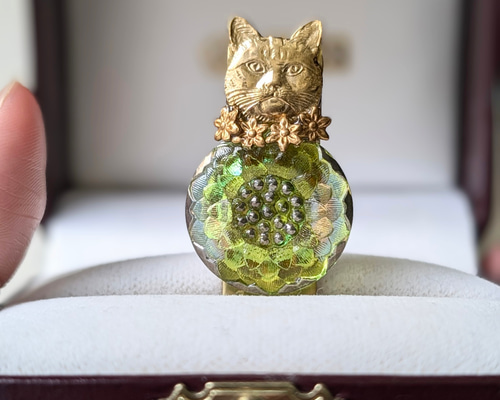 花ネコⅣ｜虹色をまとう鶯色の菊花、静かに佇む猫の繊細な詩のチェコ