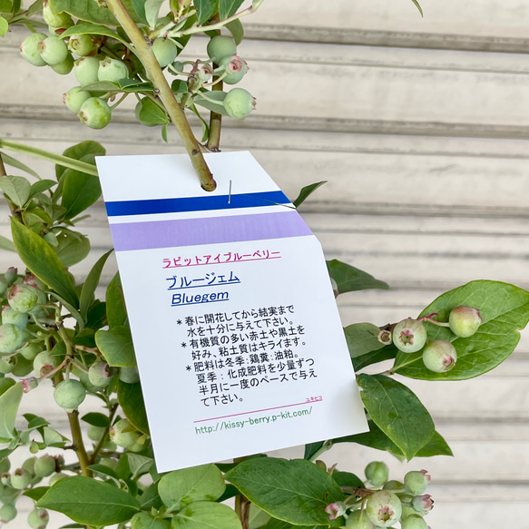  第7張的照片