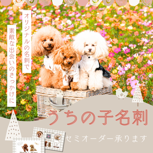 ペット名刺 うちの子名刺 セミオーダー 100枚｜ミニガーランド×サンド