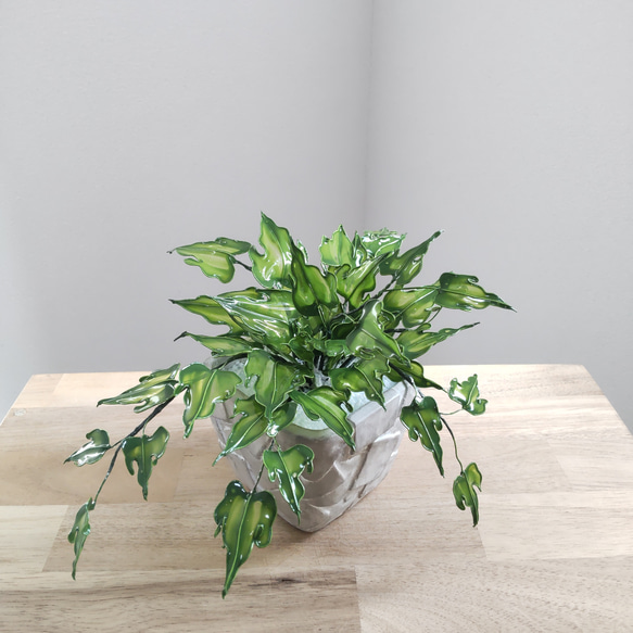 YUYU・植物とアート♡*専用 東京優芳園｜観葉植物 *YUYU・