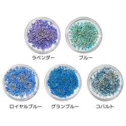 レースフラワー　10枚　押し花　全23色　季節のお花　レジン　ネイル　ハンドメイド　花材 4枚目の画像