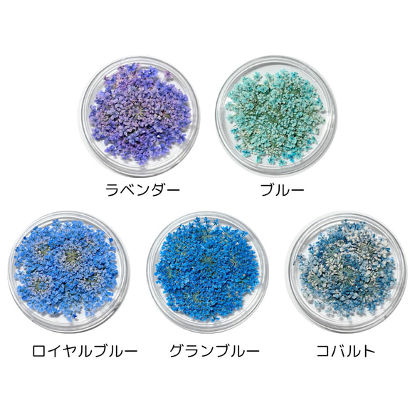 レースフラワー　10枚　押し花　全23色　季節のお花　レジン　ネイル　ハンドメイド　花材 4枚目の画像