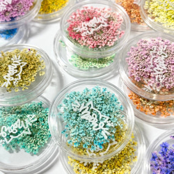 レースフラワー　10枚　押し花　全23色　季節のお花　レジン　ネイル　ハンドメイド　花材 14枚目の画像