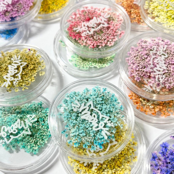 レースフラワー　10枚　押し花　全23色　季節のお花　レジン　ネイル　ハンドメイド　花材 14枚目の画像