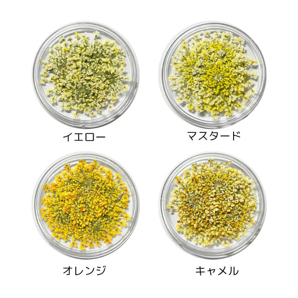 レースフラワー　10枚　押し花　全23色　季節のお花　レジン　ネイル　ハンドメイド　花材 6枚目の画像