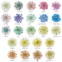 レースフラワー　10枚　押し花　全23色　季節のお花　レジン　ネイル　ハンドメイド　花材 8枚目の画像