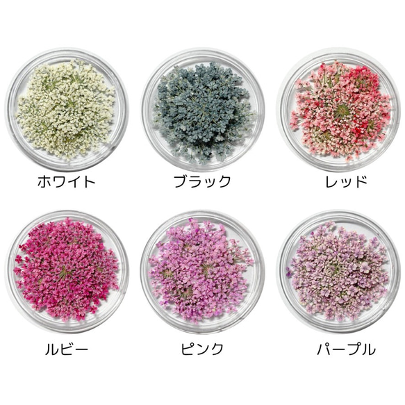 レースフラワー　10枚　押し花　全23色　季節のお花　レジン　ネイル　ハンドメイド　花材 3枚目の画像