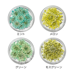 レースフラワー　10枚　押し花　全23色　季節のお花　レジン　ネイル　ハンドメイド　花材 5枚目の画像