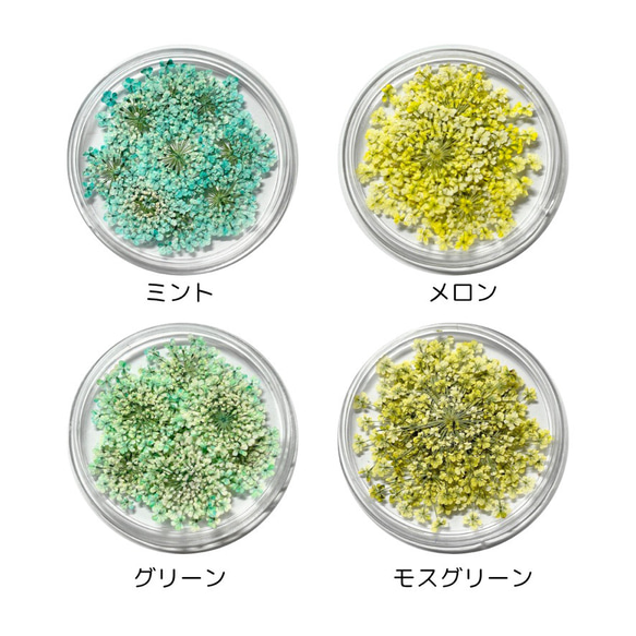 レースフラワー　10枚　押し花　全23色　季節のお花　レジン　ネイル　ハンドメイド　花材 5枚目の画像