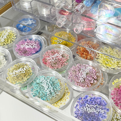 レースフラワー　10枚　押し花　全23色　季節のお花　レジン　ネイル　ハンドメイド　花材 13枚目の画像