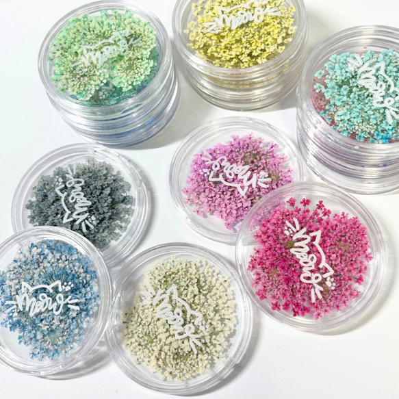レースフラワー　10枚　押し花　全23色　季節のお花　レジン　ネイル　ハンドメイド　花材 11枚目の画像