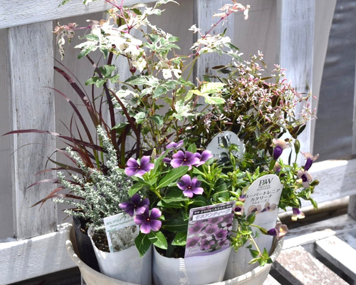 ee7e026cccc24f2ae97f3937993760