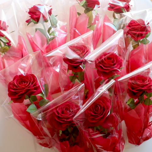 ずっと咲いてる》赤い薔薇の一輪アレンジ/アーティフィシャルフラワー