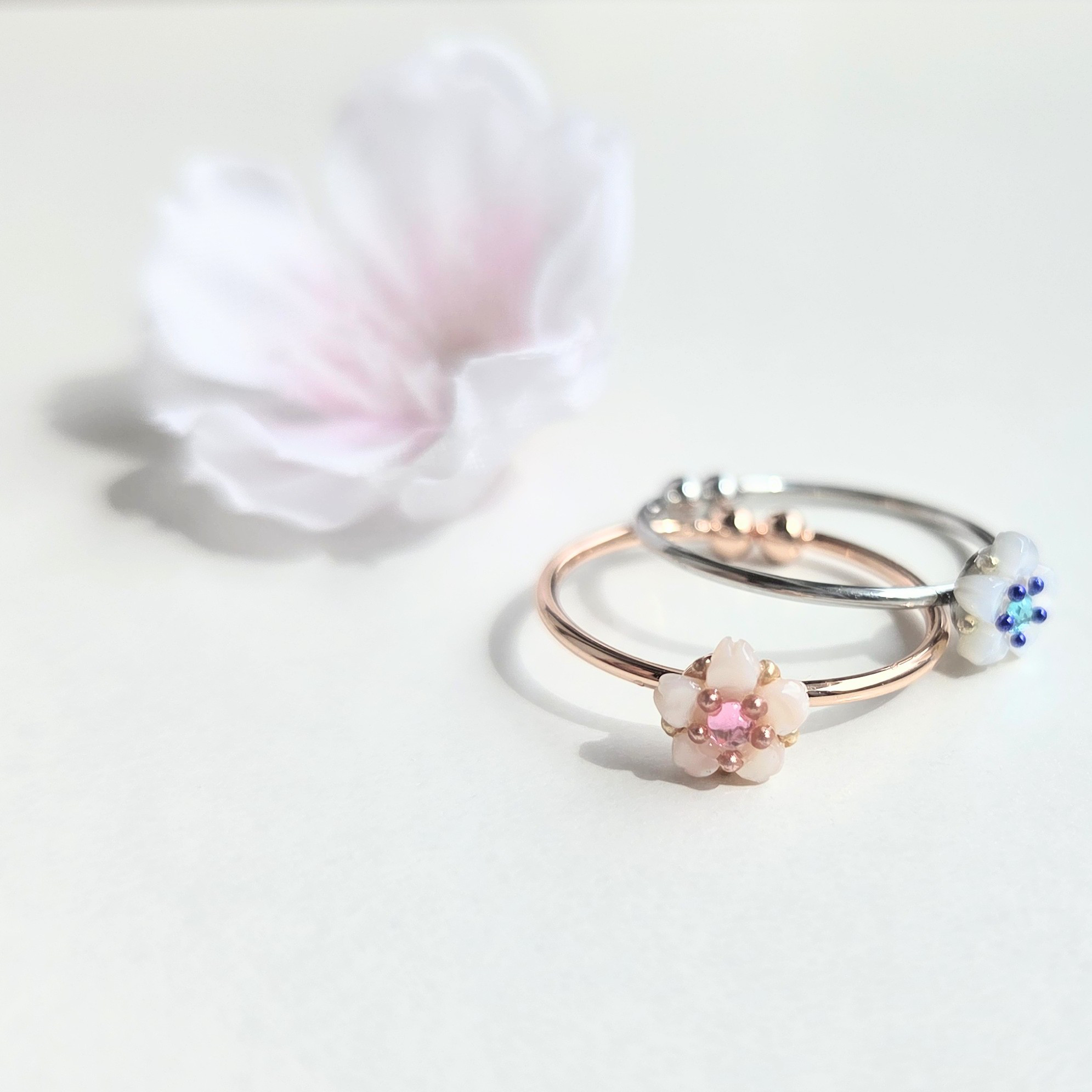 桜姫のロンドー夢見草ー
