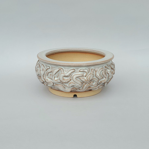 植木鉢「botanical」 一輪挿し・花瓶・花器 赤膚焼 大塩まな 通販