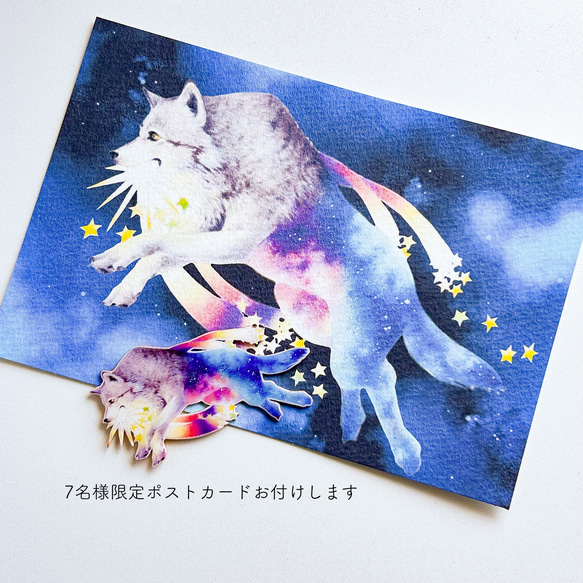 シリウスのブローチ/限定先着7個までポストカード付き 2枚目の画像