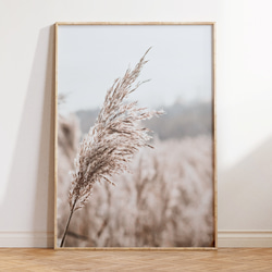 アートポスター ススキ 秋 草原 ベージュ グレー 北欧風 シンプル