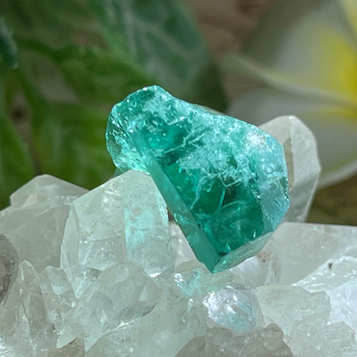 フローライト/蛍光原石