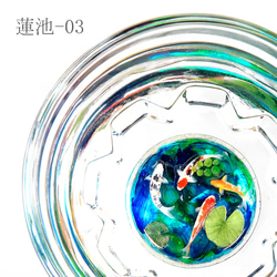 池の鯉盃－蓮池 9枚目の画像