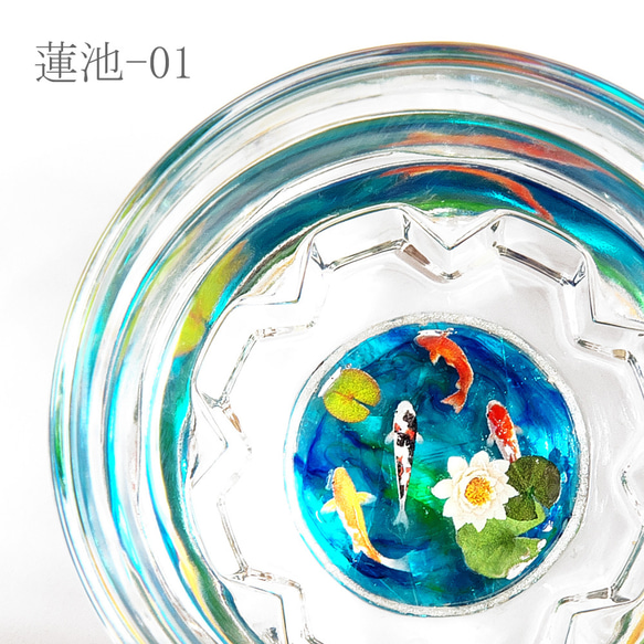 池の鯉盃－蓮池 3枚目の画像