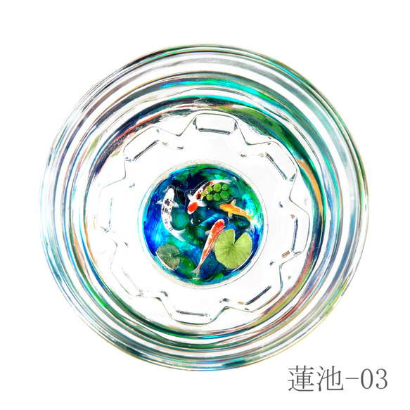 池の鯉盃－蓮池 8枚目の画像