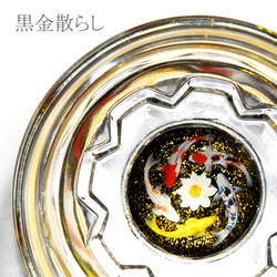池の鯉盃－回遊 10枚目の画像