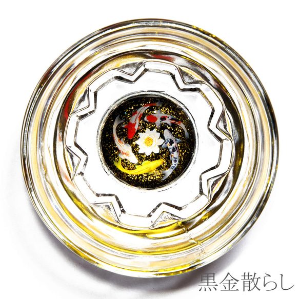 池の鯉盃－回遊 9枚目の画像