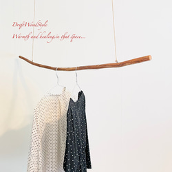 流木ハンガー 115ｃｍサイズの流木のハンガーラック 北欧 衣装掛け ハンギング 吊り下げ ハンガーポール N31 5枚目の画像
