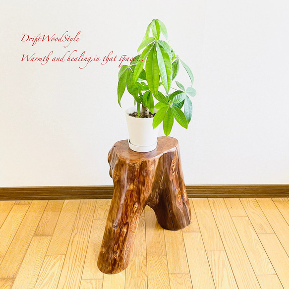 流木インテリア 大型流木から切り出したスツール 一点物 フラワースタンド 椅子 ベンチ 木製 北欧 N27 3枚目の画像