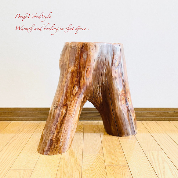 流木インテリア 大型流木から切り出したスツール 一点物 フラワースタンド 椅子 ベンチ 木製 北欧 N27 9枚目の画像
