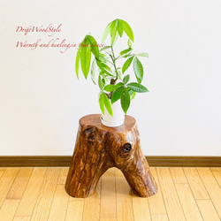 流木インテリア 大型流木から切り出したスツール 一点物 フラワースタンド 椅子 ベンチ 木製 北欧 N27 5枚目の画像