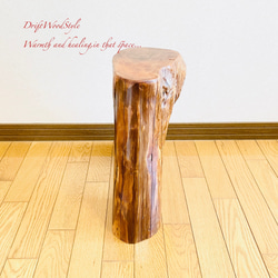 流木インテリア 大型流木から切り出したスツール 一点物 フラワースタンド 椅子 ベンチ 木製 北欧 N27 14枚目の画像