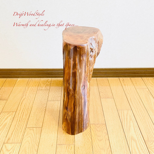 流木インテリア 大型流木から切り出したスツール 一点物 フラワースタンド 椅子 ベンチ 木製 北欧 N27 14枚目の画像