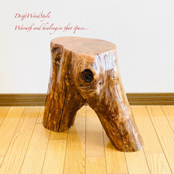 流木インテリア 大型流木から切り出したスツール 一点物 フラワースタンド 椅子 ベンチ 木製 北欧 N27 13枚目の画像