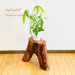 流木インテリア 大型流木から切り出したスツール 一点物 フラワースタンド 椅子 ベンチ 木製 北欧 N27 4枚目の画像