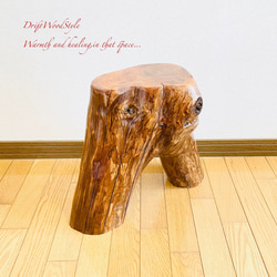 流木インテリア 大型流木から切り出したスツール 一点物 フラワースタンド 椅子 ベンチ 木製 北欧 N27 12枚目の画像