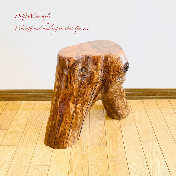 流木インテリア 大型流木から切り出したスツール 一点物 フラワースタンド 椅子 ベンチ 木製 北欧 N27 12枚目の画像