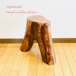 流木インテリア 大型流木から切り出したスツール 一点物 フラワースタンド 椅子 ベンチ 木製 北欧 N27 11枚目の画像