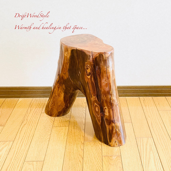 流木インテリア 大型流木から切り出したスツール 一点物 フラワースタンド 椅子 ベンチ 木製 北欧 N27 11枚目の画像
