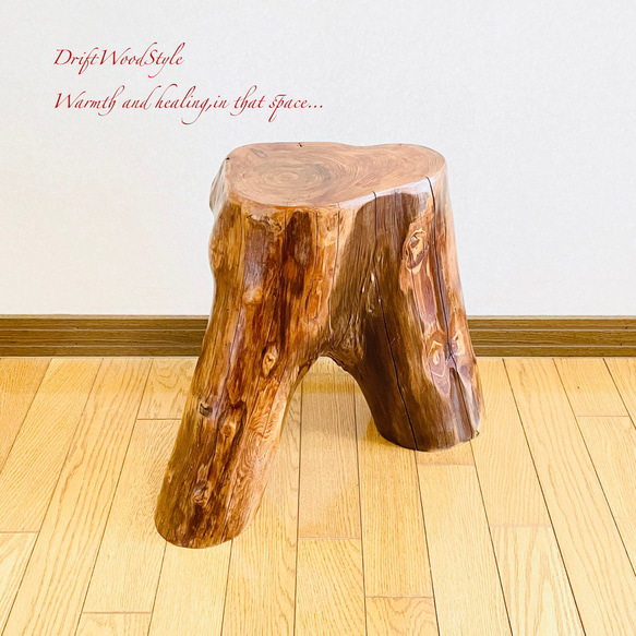 流木インテリア 大型流木から切り出したスツール 一点物 フラワースタンド 椅子 ベンチ 木製 北欧 N27 10枚目の画像