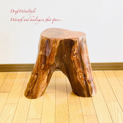 流木インテリア 大型流木から切り出したスツール 一点物 フラワースタンド 椅子 ベンチ 木製 北欧 N27 8枚目の画像