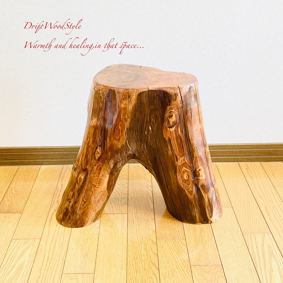 流木インテリア 大型流木から切り出したスツール 一点物 フラワースタンド 椅子 ベンチ 木製 北欧 N27 8枚目の画像
