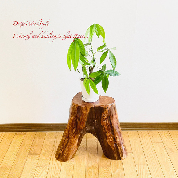 流木インテリア 大型流木から切り出したスツール 一点物 フラワースタンド 椅子 ベンチ 木製 北欧 N27 2枚目の画像