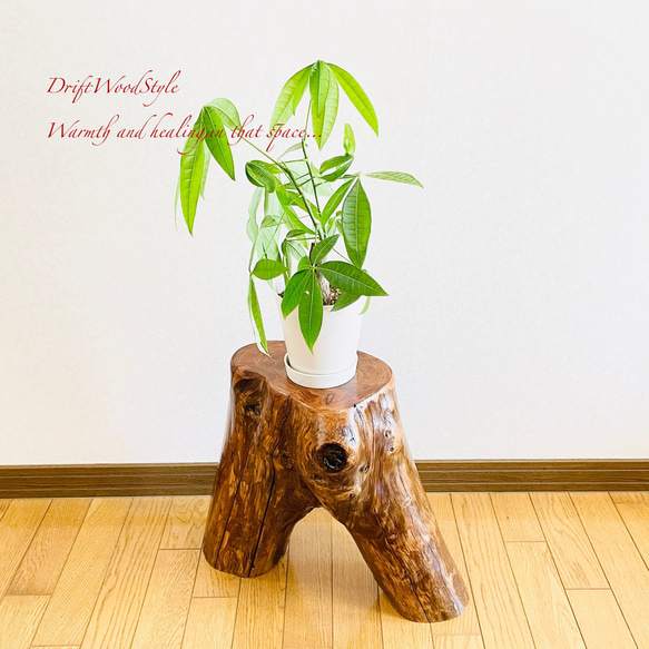 流木インテリア 大型流木から切り出したスツール 一点物 フラワースタンド 椅子 ベンチ 木製 北欧 N27 7枚目の画像